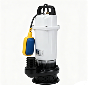 <span class=keywords><strong>Pompe</strong></span> solaire flottante JQDX 800W avec interrupteur flottant, <span class=keywords><strong>pompe</strong></span> à eau solaire submersible à haut débit pour étang, <span class=keywords><strong>piscine</strong></span>, jardin, irrigation - Product Image 1