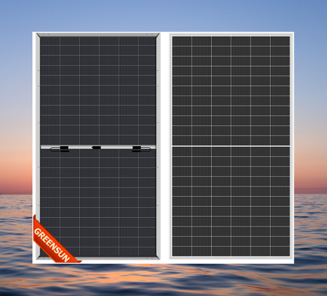 Factory Price Half Cut N Type 600w 700w Solar PV Panel 750W 800 Watt 1000 Watt Double Face Energy Solar Panel