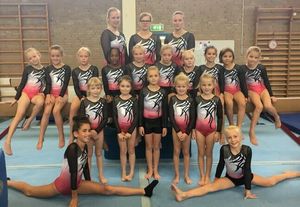 Stocks Leotard , Printing Leotard for Girls , Cheaper Gymnastics Leotard for Child - Product Image 5