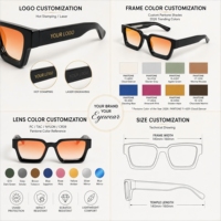 LBAshades 3516 Moda 2026 Tendencia Clásica Gafas de Sol Retro de Diseñador con Marco Cuadrado Grande y Logotipo Personalizado para Mujer y Hombre