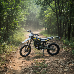 12.5KW อัลตร้าจักรยานไฟฟ้า2024รุ่น74V 55Ah มอเตอร์ไซค์วิบาก90กม./ชม. - Product Image 3
