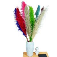 Herbe de pampa géante 80cm moelleux grand bouquet de fleurs d'herbe de pampa humide pour la décoration de la maison herbe de pampa noire