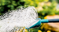 Meilleures ventes Bouilloire pour le jardinage domestique Arrosoir à long bec pour fleurs et légumes Seau pour vaporisateur
