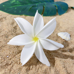 Fournisseur d'usine 10CM EVA Mousse Cheveux Pick Artificielle Hawaii Dance Party Fleur Décorative Femmes Accessoires - Product Image 4