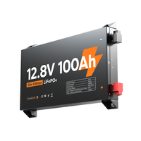 Batterie LiFePO4 ultra-mince 2,36 pouces 12V 100Ah avec indice de protection IP65, boîtier métallique, batterie lithium-ion ultra-mince 2,36 pouces