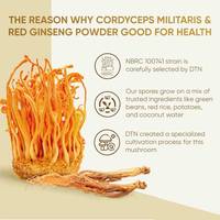 Complément Énergisant Masculin 100% Naturel au Ginseng, Meilleure Vente, pour la Vitalité et la Force, Comprimés pour la Santé Masculine
