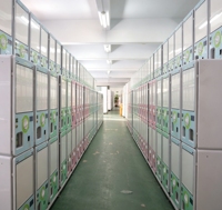Offre Spéciale Corée : Machine à œufs universelle 50-80 œufs avec structure métallique, garantie 1 an, personnalisable