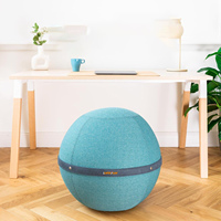 Ballon de stabilité professionnel souple et durable avec poignée intégrée et housse amovible pour le fitness et le yoga