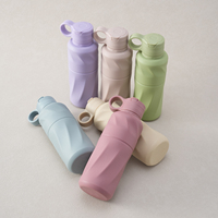 Bouteille de voyage pliable en silicone, design classique, sans BPA, anti-fuite, avec paille rabattable, boucle de transport, logo personnalisé, couleurs macaron pastel