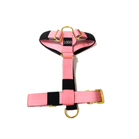 Harnais pour chien TRI tactique anti-traction rembourré en néoprène souple à boucle en métal doré robuste réglable
