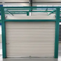 Manual Steel Roller Shutter Door, Self Storage