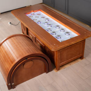 Lit de physiothérapie moderne à moxibustion électrique sans fumée avec <span class=keywords><strong>table</strong></span> de massage <span class=keywords><strong>fixe</strong></span> pour la salle de sport et les traitements du visage - Product Image 1