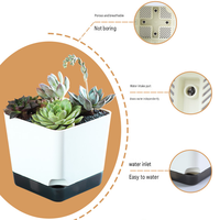 Pot de fleurs auto-arrosant pour plantes succulentes, pot de fleurs d'intérieur et d'extérieur avec trou de drainage, soucoupe transparente, réservoir, moderne et décoratif