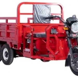 รถสามล้อ3ล้อสำหรับผู้ใหญ่รถสามล้อบรรทุกของเครื่องยนต์เบนซินแบบ250CC - Product Image 2