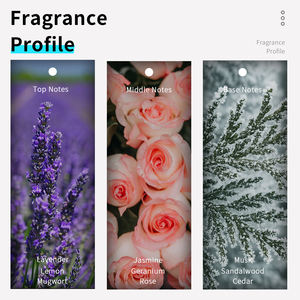 VILILY Perfume en Spray de Larga Duración para Hombre, 40 ml, Aroma Romántico a Hojas Verdes, Fragancia Corporal en Bruma, Perfume de Lujo en Tamaño de Viaje - Product Image 2