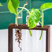 Promotion : Support mural en bois pour 5 pots en verre en forme de tube à essai, vase à fleurs suspendu ou à poser sur table pour la maison