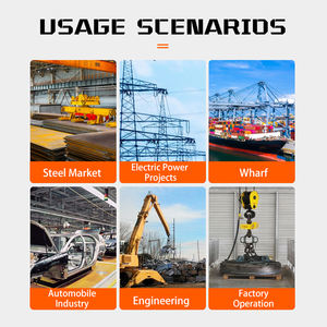 ขายส่งระบบยกแม่เหล็กของผู้ผลิตลิฟท์แม่เหล็กอาคาร 600KG - Product Image 6