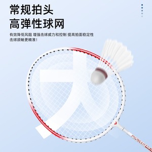 Racchetta da Badminton Set Modulare ultraleggero Ferro lega per adulti racchetta da Badminton con borsa attaccando e difendendo - Product Image 4