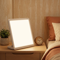 Lampe de luminothérapie LED rechargeable 10000 Lux avec variateur d'intensité, minuterie et contrôle tactile, lumière du jour pour l'amélioration de l'humeur saisonnière et un regain d'énergie
