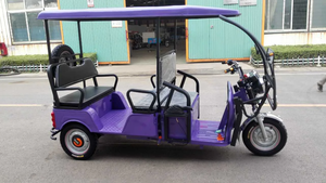 <span class=keywords><strong>Precio</strong></span> bajo Street Legal Triciclos eléctricos 3 ruedas de carga eléctrica Rickshaw Potente adulto Ev Moto Triciclo para <span class=keywords><strong>taxi</strong></span> de pasajeros - Product Image 6