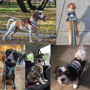 No Pull <strong>Dog</strong> <strong>Harness</strong>, No Choke <strong>Front</strong> <strong>Lead</strong> <strong>Dog</strong> Reflective <strong>Harness</strong>, Adjustable Soft Padded Pet Vest with Easy Control - Product Image 4