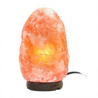 Lampe en sel rose de l'Himalaya de 2-3 kg, lampe en sel cristallin naturel sculptée à la main, base en bois, purificateur d'air, veilleuse