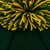 Casquette unisexe en acrylique 100% avec broderie jacquard lion verte et jaune, revers et pompon, faible MOQ, expédition rapide, personnalisable