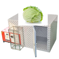 Máquina Deshidratadora de Col Automática de Gran Capacidad en Oferta, Fabricante de Máquinas Deshidratadoras de Rodajas de Col Verde, Máquina de Secado por Aire Caliente