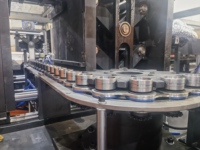 Máquina de moldeo por soplado y estiramiento de botellas de agua para mascotas completamente automática para botellas