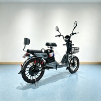 Vélo de montagne électrique de notre propre usine pour hommes et femmes, 350W 48V 12Ah, batterie amovible, freins à disque doubles, vélo électronique intelligent