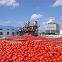 Hoge prestatie, concurrerende prijs, roestvrijstalen semi-automatische lijn voor de verwerking van tomatenpulp