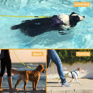 OKKPETS Offre Spéciale wholes <span class=keywords><strong>10m</strong></span> pvc étanche formation personnalisé élégant personnalisable dressage de <span class=keywords><strong>chien</strong></span> longue <span class=keywords><strong>laisse</strong></span> en cuir <span class=keywords><strong>laisse</strong></span> de <span class=keywords><strong>chien</strong></span> en Nylon - Product Image 6