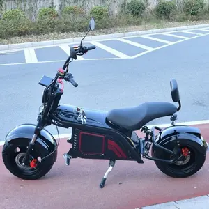 Yetişkin elektrikli Phat Scooter Citycoco Har Ley elektrikli spor motosiklet