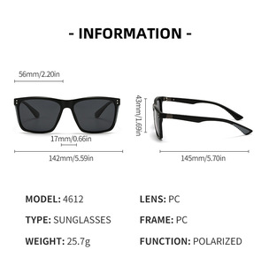 Gafas de Sol Polarizadas de Lujo con Logotipo Personalizado, Lentes de Metal Dorado con Protección UV400 y Fotocromáticas, Gafas de Sol Polarizadas de Marca Clásica - Product Image 5