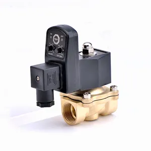 1/2 inch Máy nén khí điện cống solenoid valve với bộ đếm thời gian van nước điều khiển chung 1 năm MAM điều khiển 0 ~ 16 bar