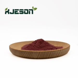 En iyi fiyat 100% saf avrupa yabanmersini özü 25% antosiyanidinler CAS 84082-34-8 yaban mersini özü  toz - Product Image 1