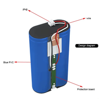 Vente en gros d'usine, pack de batteries au lithium 18650, pack de batteries au lithium-ion cylindriques 1S2P, 3,7 V, 4400 mAh, pour aspirateur de voiture