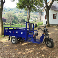 Vente chaude Nouveau Tricycle électrique chinois WANGHU à trois roues Tuk Tuk Cargo 60v Carrosserie ouverte 400kg+ Charge utile 50-70km/h 90km