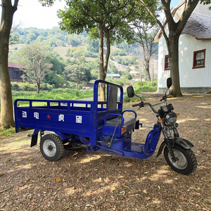 รถสามล้อ<span class=keywords><strong>ไฟฟ้า</strong></span>แบบเปิด WANGHU รุ่นใหม่ ขายดี รถตุ๊กตุ๊กบรรทุกสินค้า 60v รับน้ำหนักได้ 400 กก.+ ความเร็ว 50-70 กม./ชม. ระยะทาง 90 กม. - Product Image 2