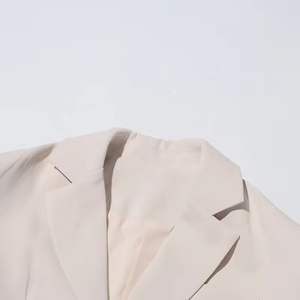 Nuovo arrivo abito sottile elegante di alta qualità per le donne solido da donna due pezzi set formale ufficio plissettato da donna set gonna - Product Image 5