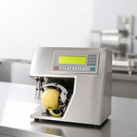 Fabrieksgroothandel Automatische Fruit Schilmachine Digitale Besturing RVS Elektrische Sinaasappel Appel Citroen Schiller