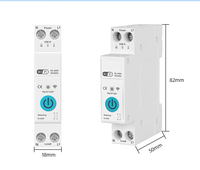 TUYA WIFI interrupteur intelligent disjoncteur 63A 1P mesure de puissance surveillance minuterie relais pour maison intelligente télécommande sans fil