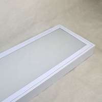Panneau de lumière LED moderne en aluminium blanc laiteux T8 double tube 300X1200Mm éclairage de bureau en surface Protection des yeux énergie