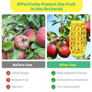 Chạy Deer Wasp Trap, Thợ mộc ngoài trời treo, áo khoác màu vàng bẫy 2 gói Killer Fly côn trùng Catcher với 4 dính bảng - Product Image 6