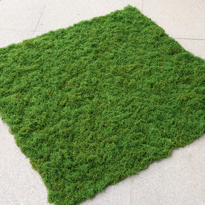 High Quality Artificial Flower Mat Artificial <strong>Moss</strong> Mat Artificial Realistic <strong>Moss</strong> Square Panels Plastic Grass Wall Plant <strong>Type</strong> - Product Image 1