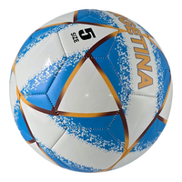 Bola Sepak Latihan Desain Argentina Cetak Digital Kustom Ramah Lingkungan Tahan Lama Nomor 5 Meersee
