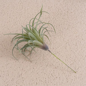 Bromelia suculenta artificial, pequeñas plantas <span class=keywords><strong>en</strong></span> maceta para decoración de oficina, escritorio, 2 unidades - Product Image 5