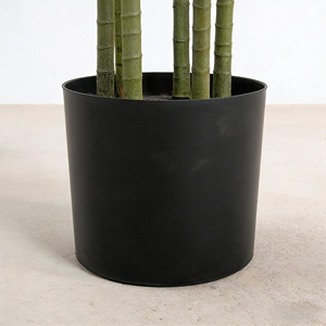 Planta Artificial Realista, Dracaena Artificial Realista para Decoración de Interiores de Hogar y Oficina - Product Image 5