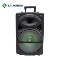 Haut-parleur portable rechargeable 15W avec microphone sans fil 2.4G, batterie lithium 3.7V 3600mAh, Bluetooth, USB/TF