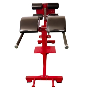 CZFIT Silla Romana Multifuncional Profesional para Gimnasio, Entrenador de Músculos Abdominales, de Espalda y Cintura, para Hiperextensión, Unisex - Product Image 6